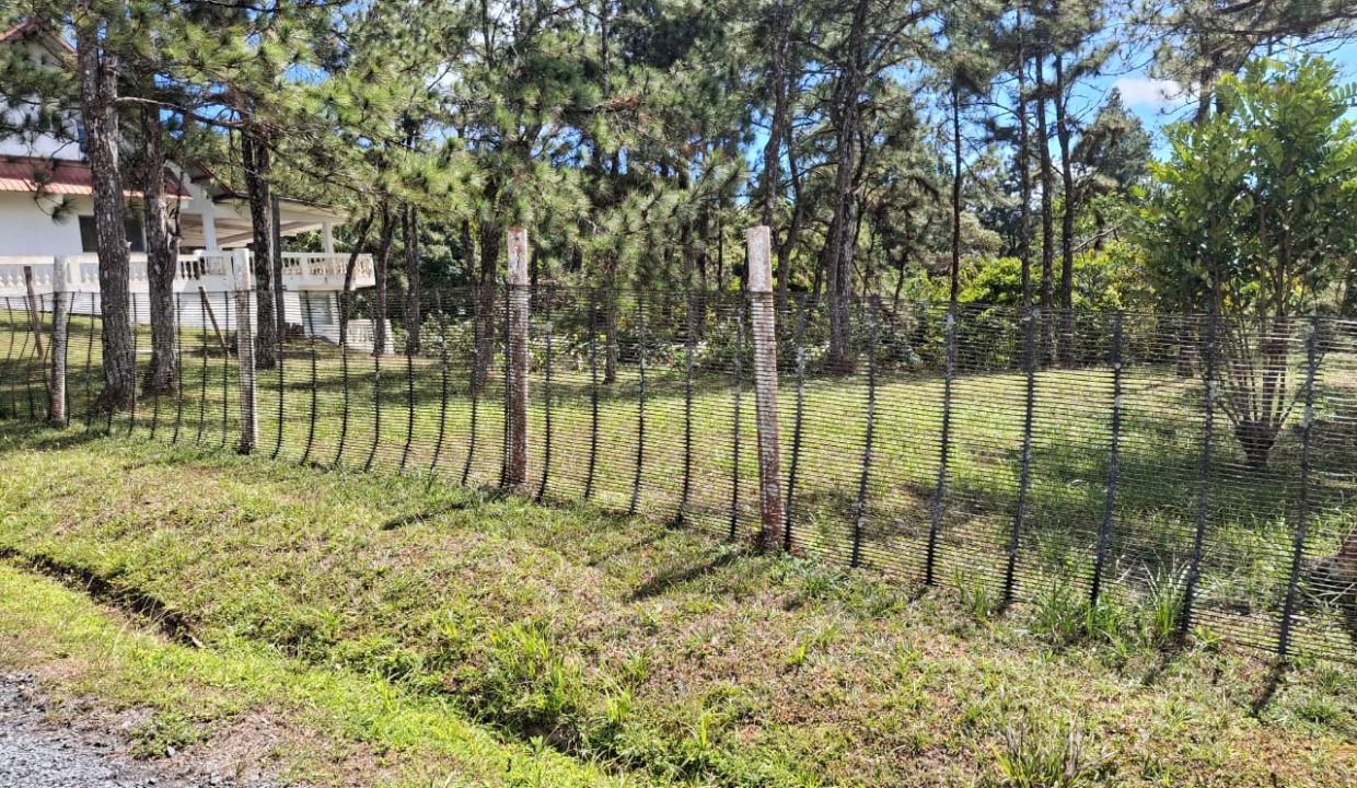 WhatsApp Image 2026-02-05 at 3.32.02 PM