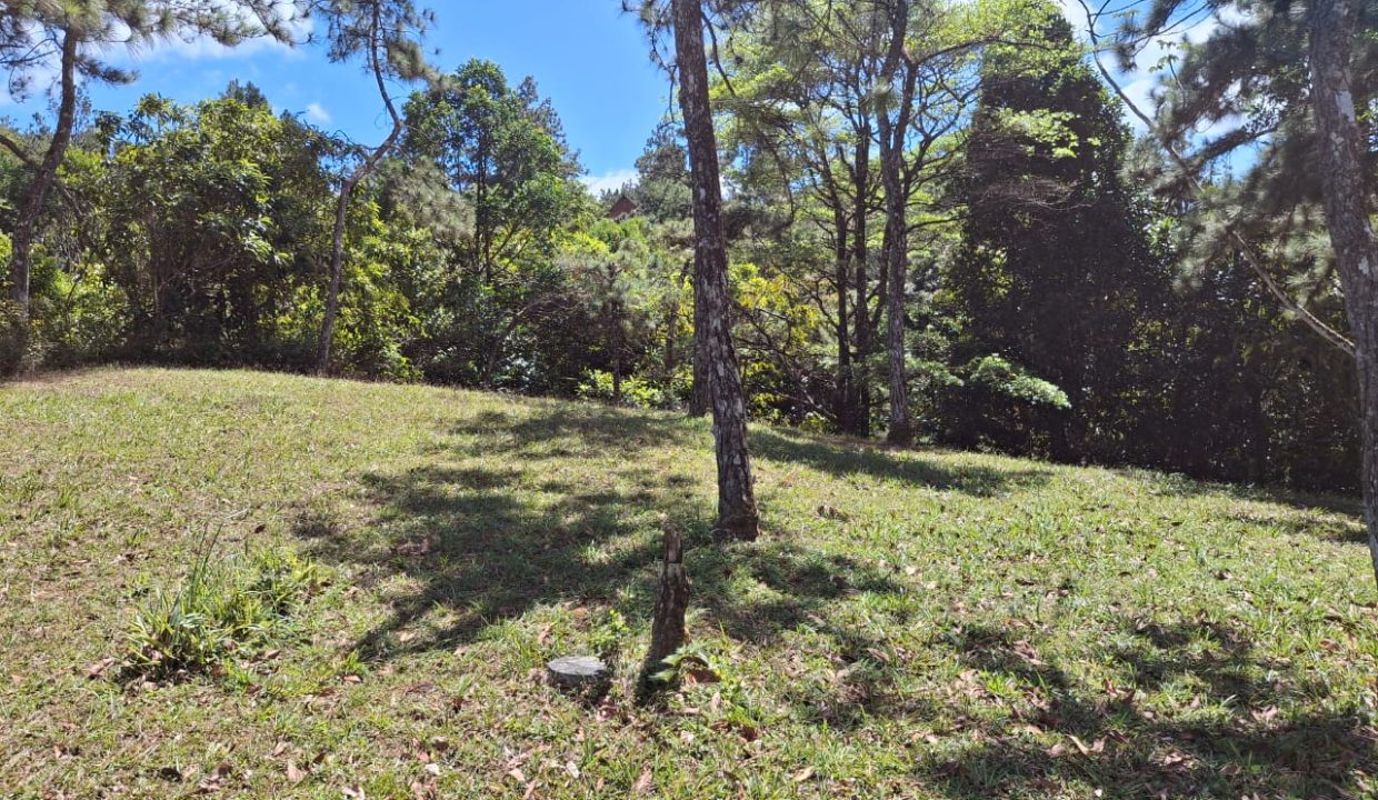 Vendo Lote en Altos de Cerro Azul Image 2026-02-05 at 3.49.19 PM