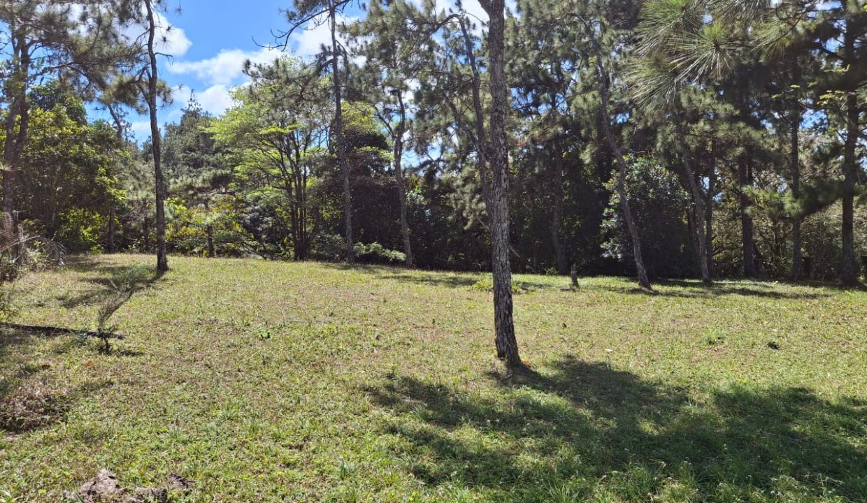 Vendo Lote en Altos de Cerro Azul