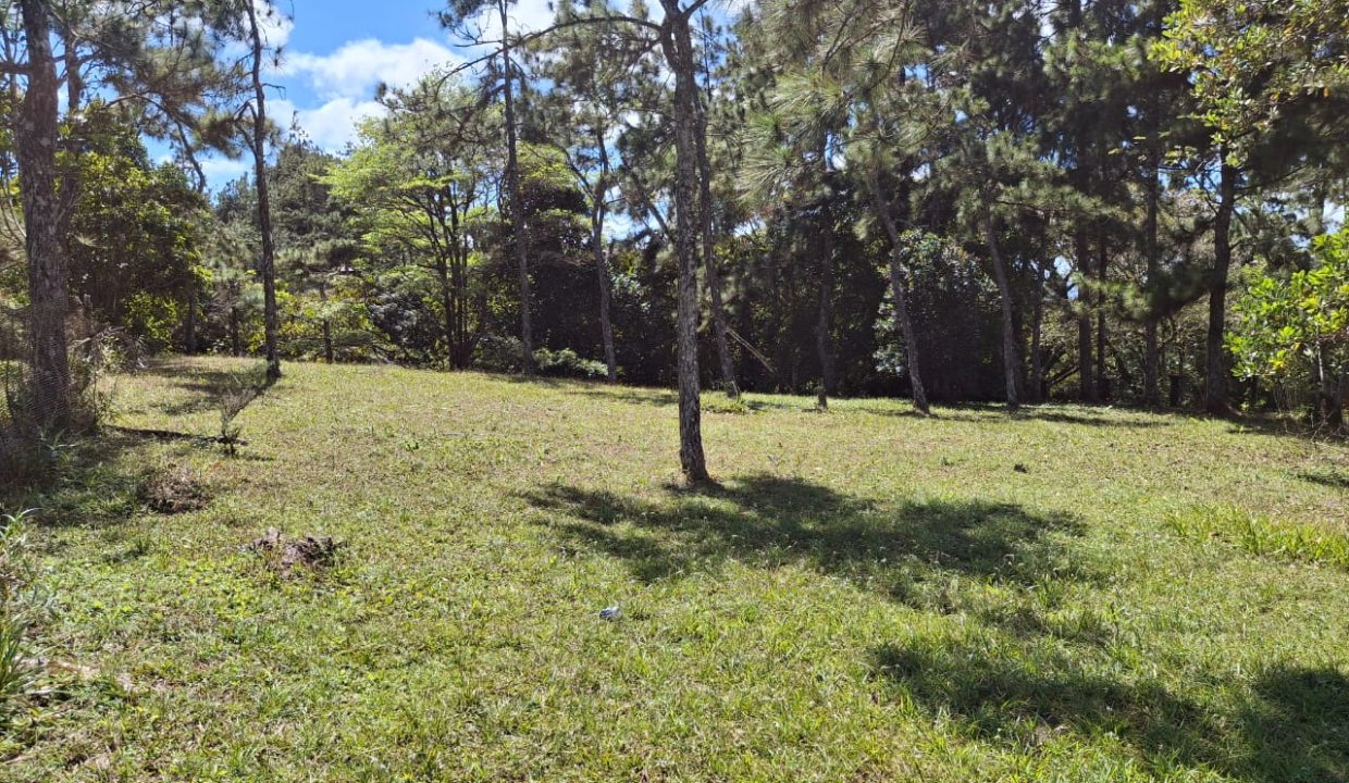 Vendo Lote en Altos de Cerro Azul