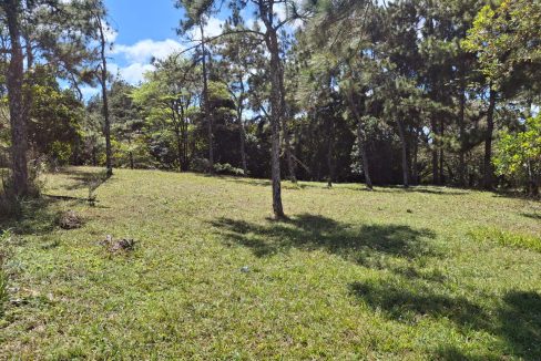Vendo Lote en Altos de Cerro Azul