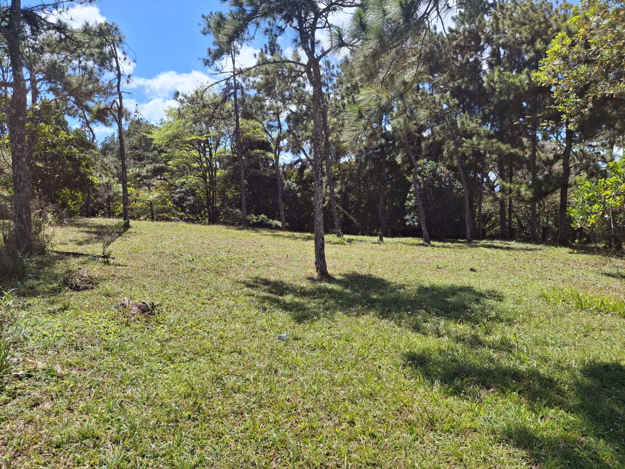 Vendo Lote en Altos de Cerro Azul