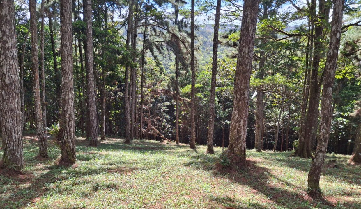 WhatsApp Image 2026-02-05 at 3.56.21 PM (1)