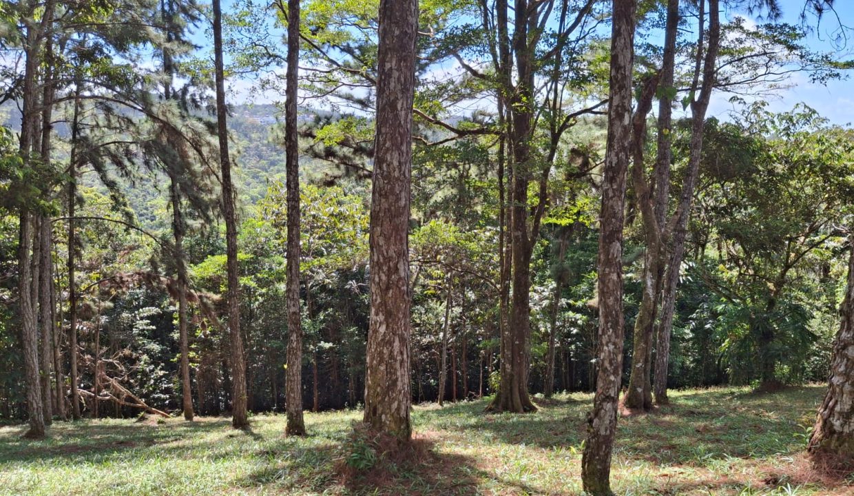 Vendo Lote en Altos de Cerro Azul