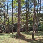 Vendo Lote en Altos de Cerro Azul