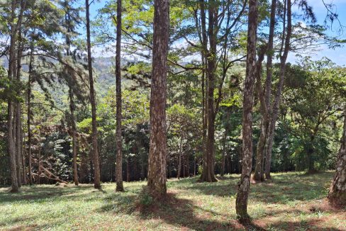 Vendo Lote en Altos de Cerro Azul