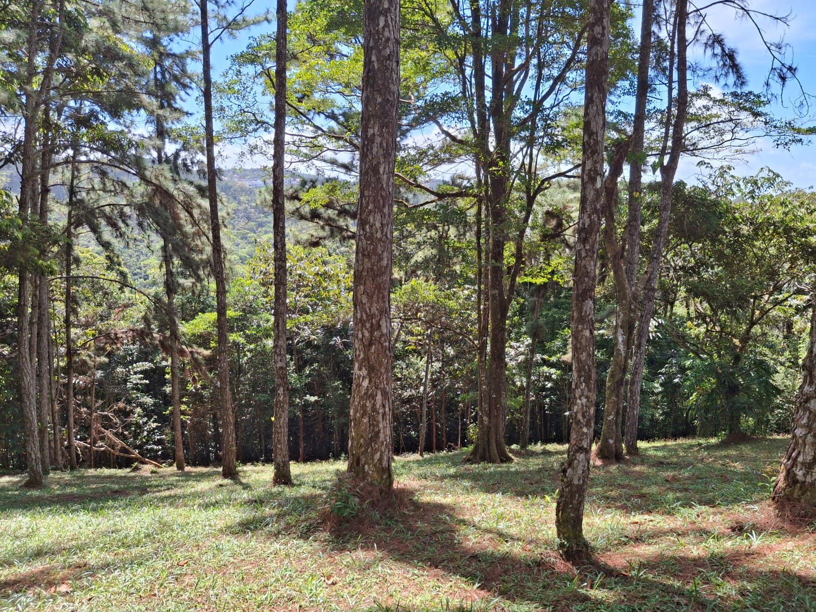 Vendo Lote en Altos de Cerro Azul