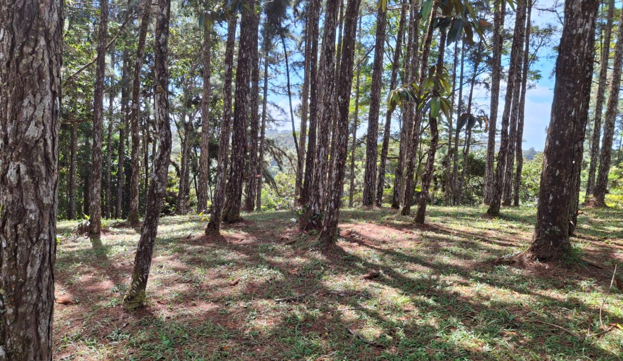 Vendo Lote en Altos de Cerro Azul