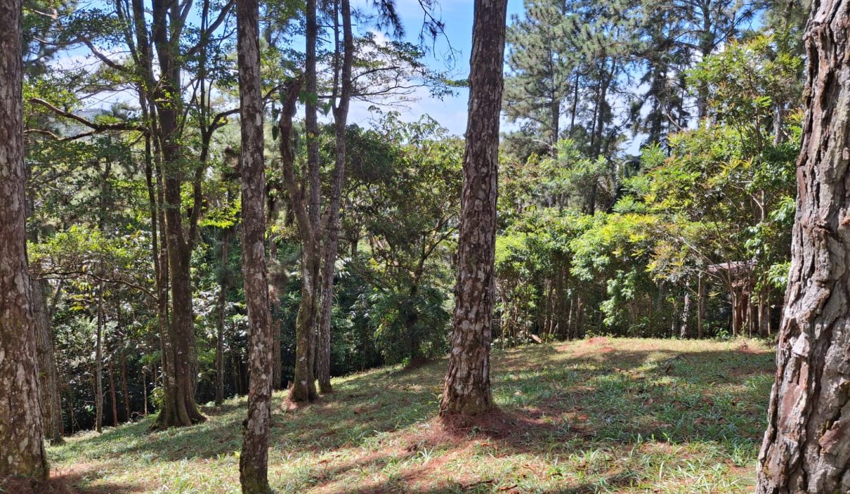 WhatsApp Image 2026-02-05 at 3.56.22 PM