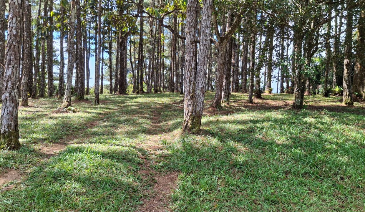 WhatsApp Image 2026-02-05 at 3.56.22 PM (2)