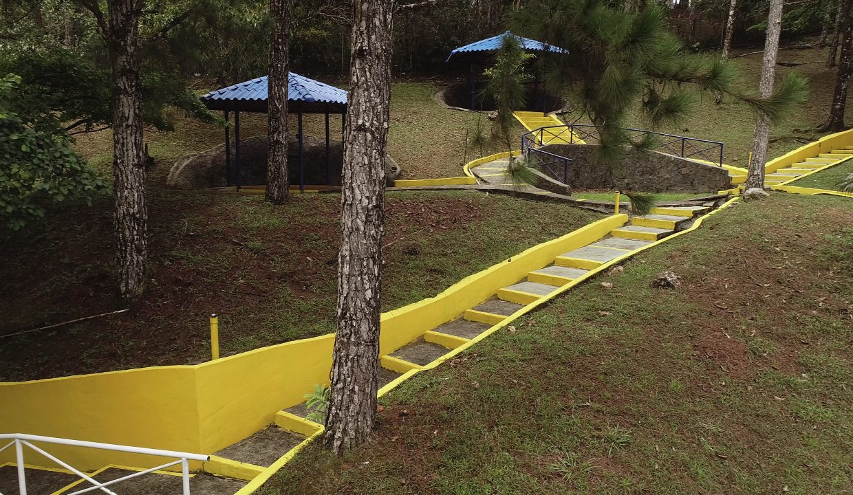 2025-05-07 Altos de Cerro Azul (16)