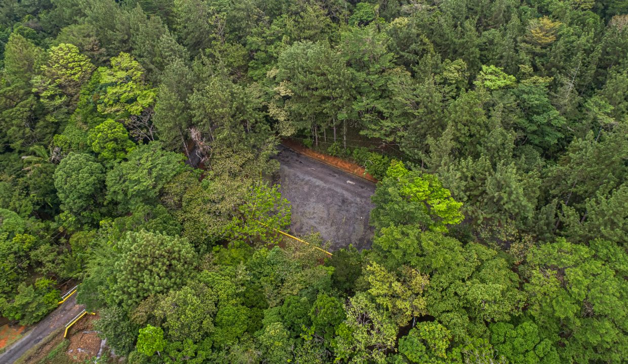 2025-05-07 Altos de Cerro Azul (21)