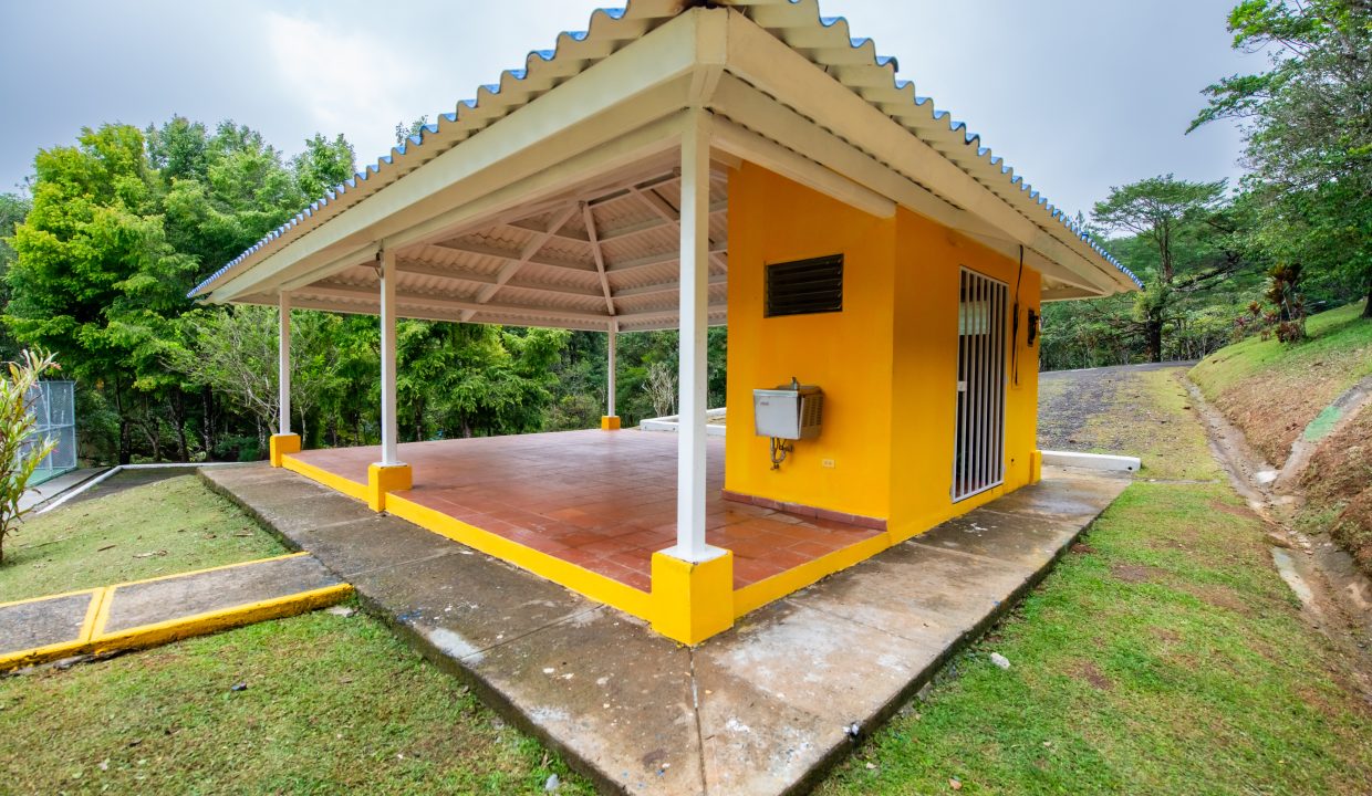 2025-05-07 Altos de Cerro Azul (30)