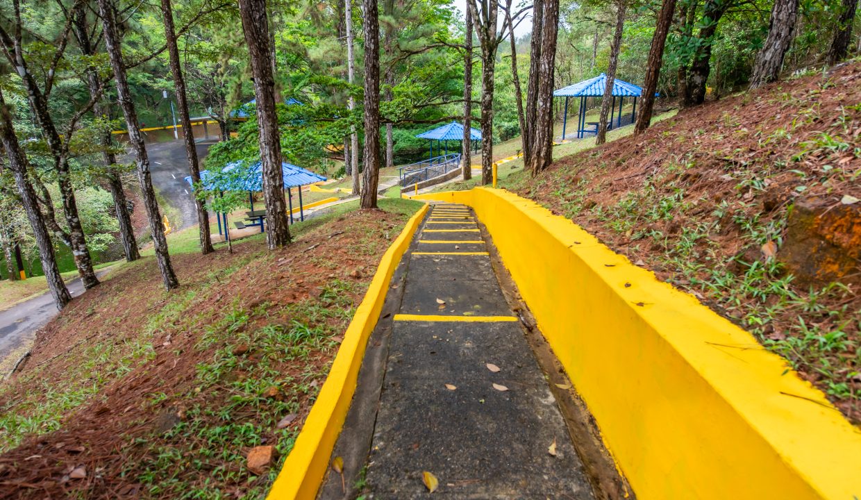 2025-05-07 Altos de Cerro Azul (31)