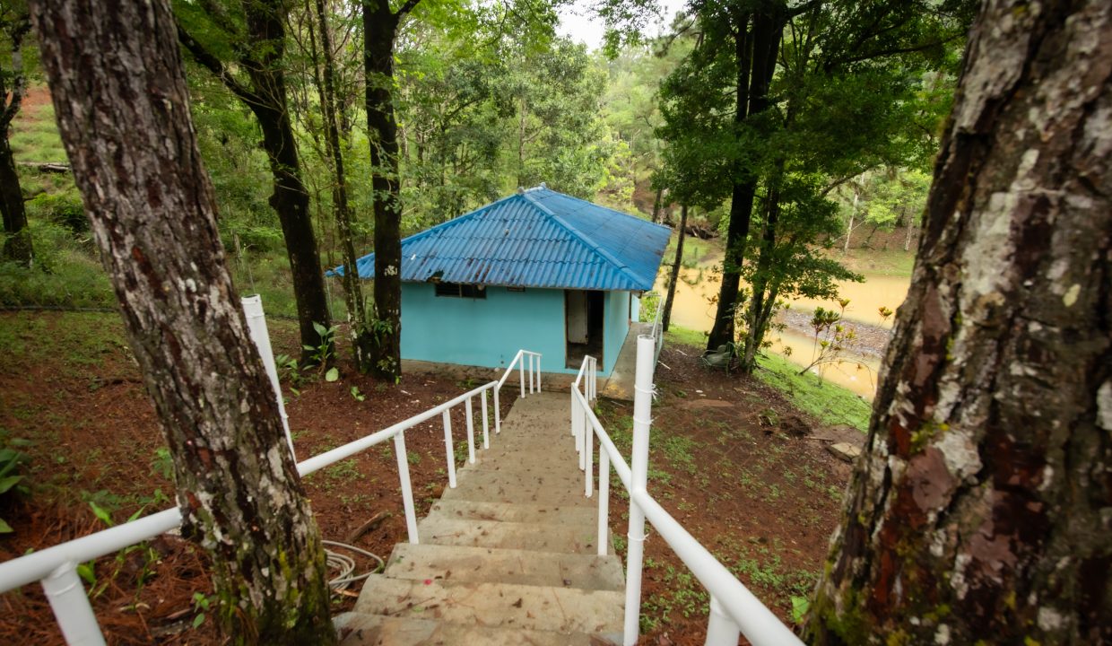 2025-05-07 Altos de Cerro Azul (38)