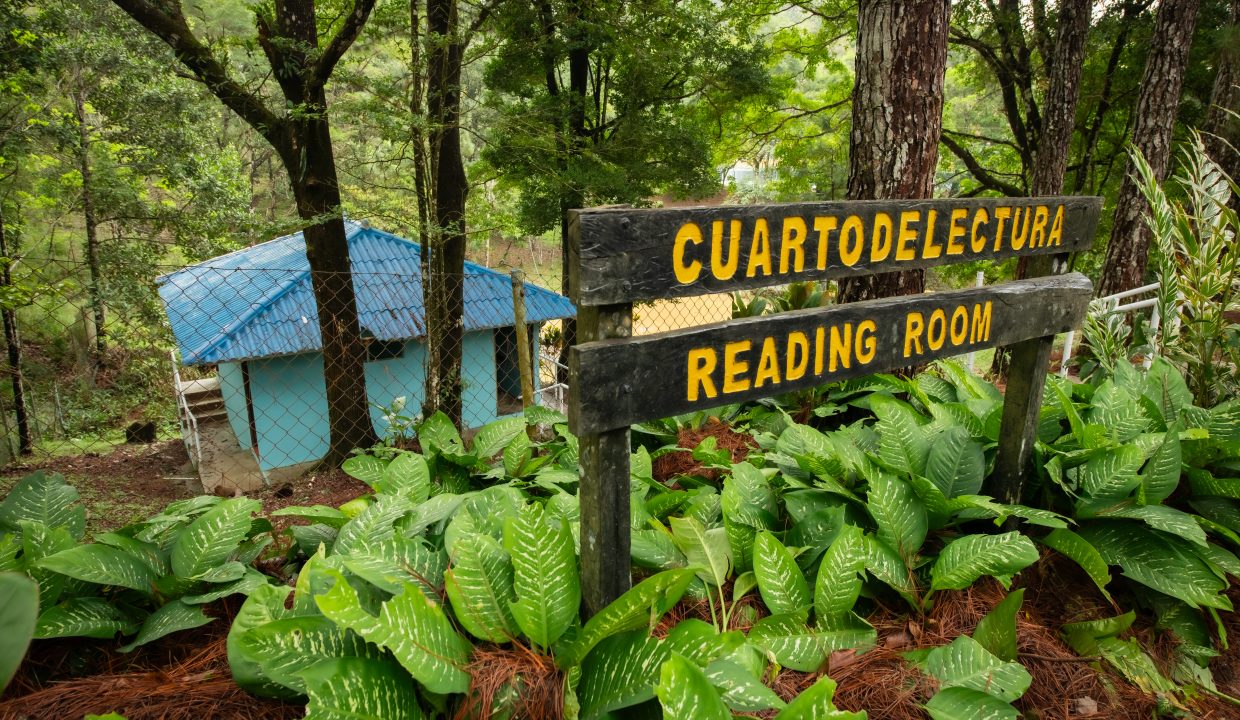 2025-05-07 Altos de Cerro Azul (39)