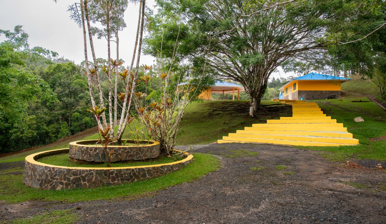 2025-05-07 Altos de Cerro Azul (46)