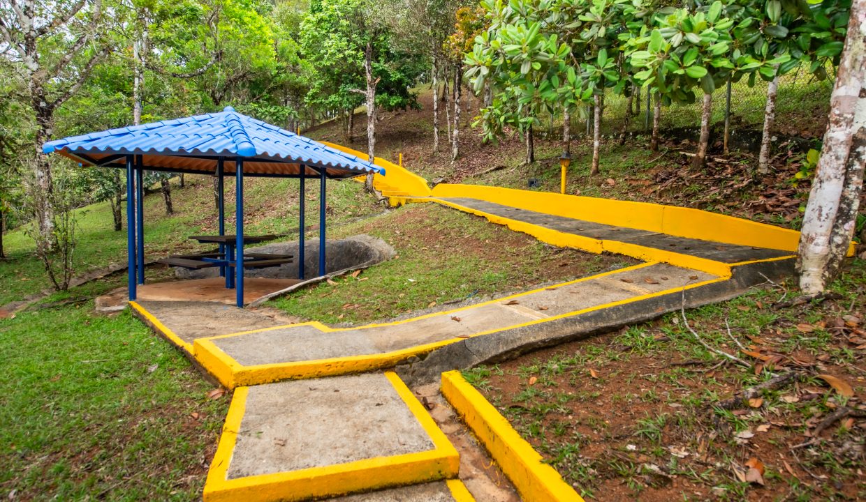 2025-05-07 Altos de Cerro Azul (50)