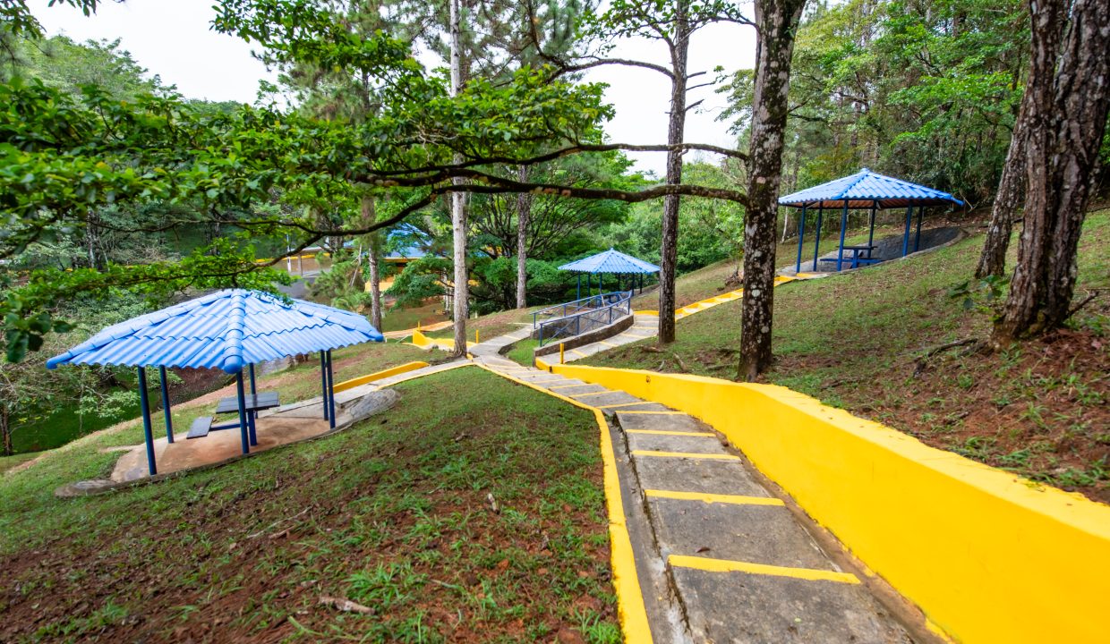 2025-05-07 Altos de Cerro Azul (51)