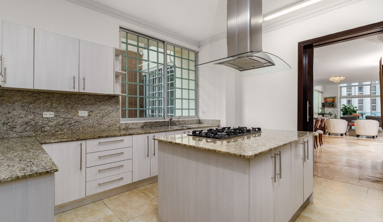 SF - PH Loft Premier 1B - 0016