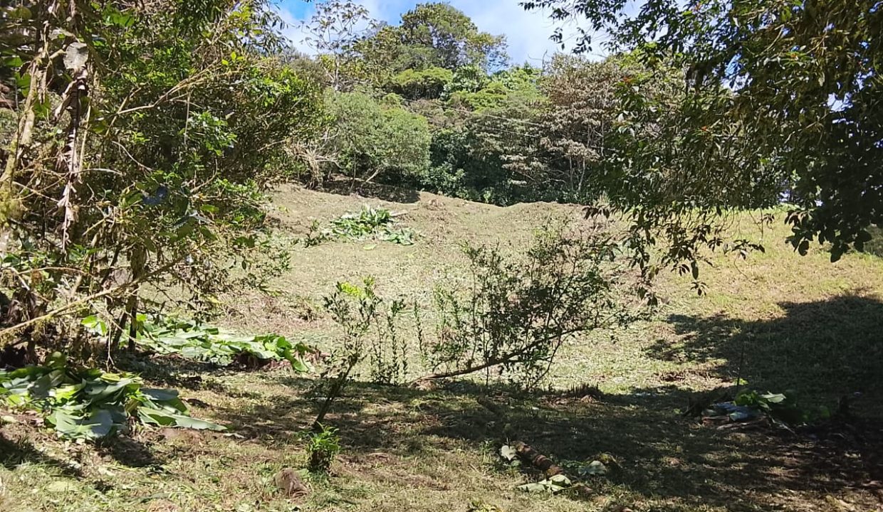 Vendo terreno en Altos del María