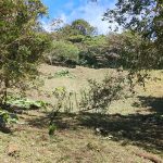 Vendo terreno en Altos del María