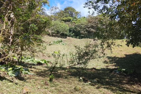 Vendo terreno en Altos del María