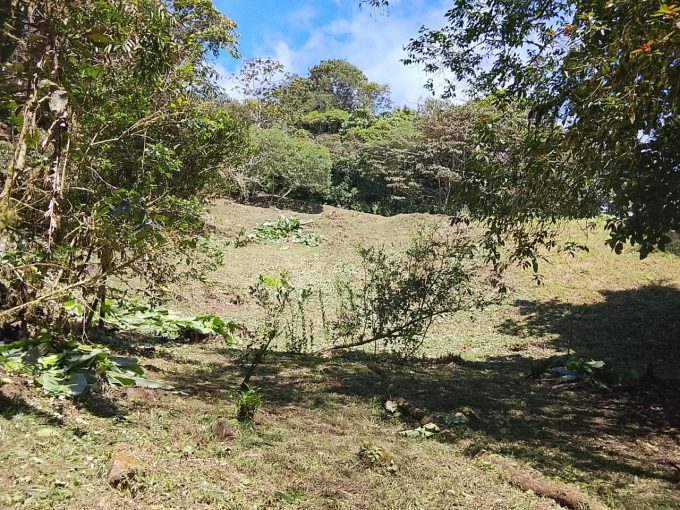 Vendo terreno en Altos del María