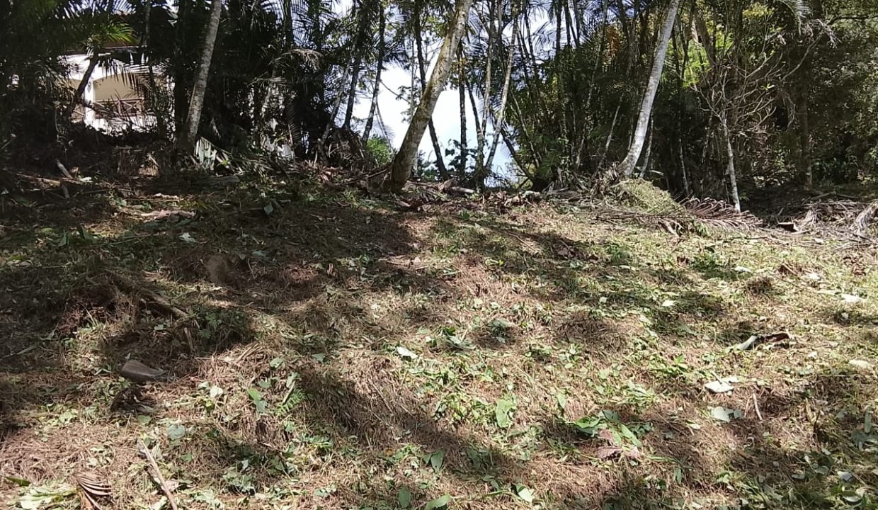 Vendo terreno en Altos del María