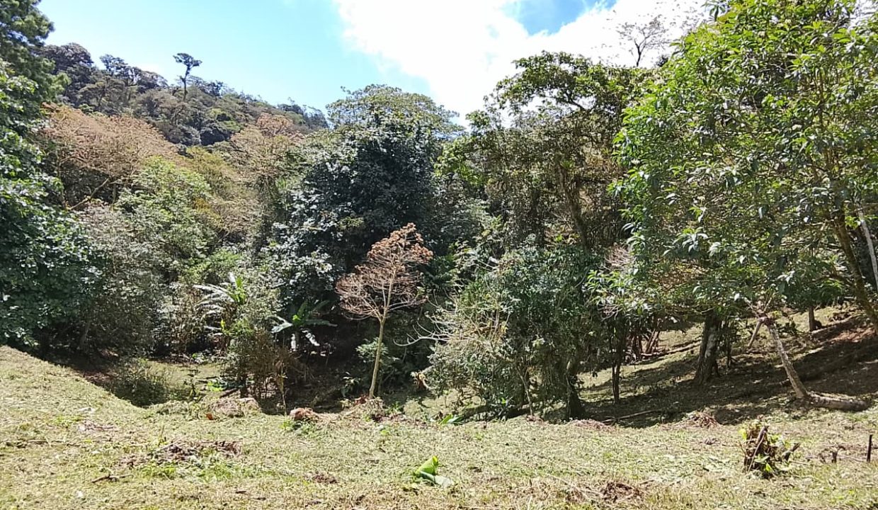 Vendo terreno en Altos del María