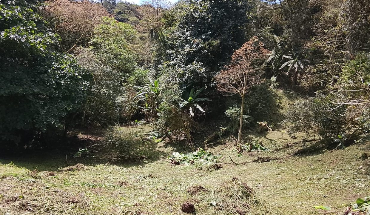 Vendo terreno en Altos del María