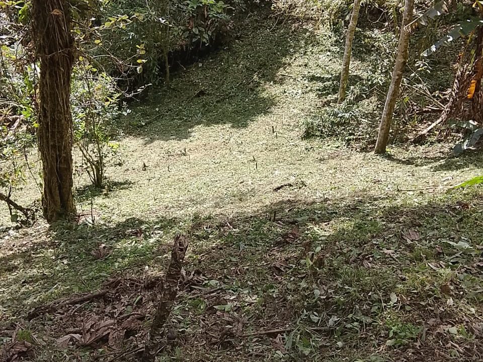 Vendo terreno en Altos del María