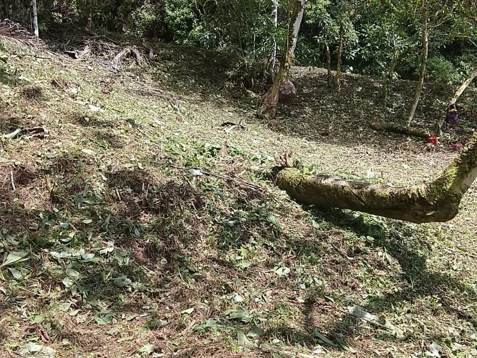 Vendo terreno en Altos del María