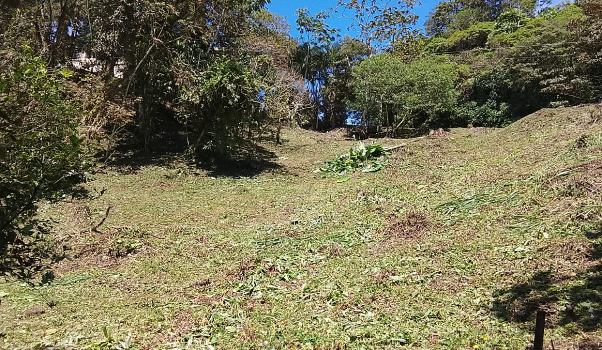 Vendo terreno en Altos del María