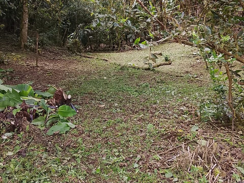Vendo terreno en Altos del María