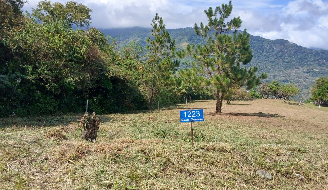 WhatsApp Image 2026-04-10 at 12.22.22 PM