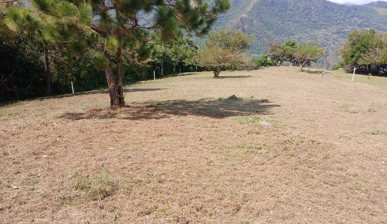 Vendo terreno espectacular en Altos del María