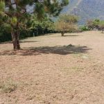 Vendo terreno espectacular en Altos del María