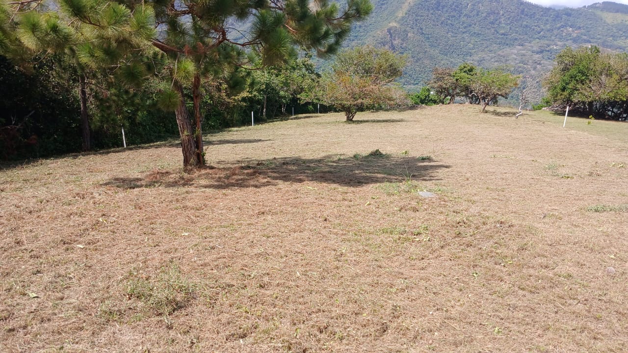 Vendo terreno espectacular en Altos del María