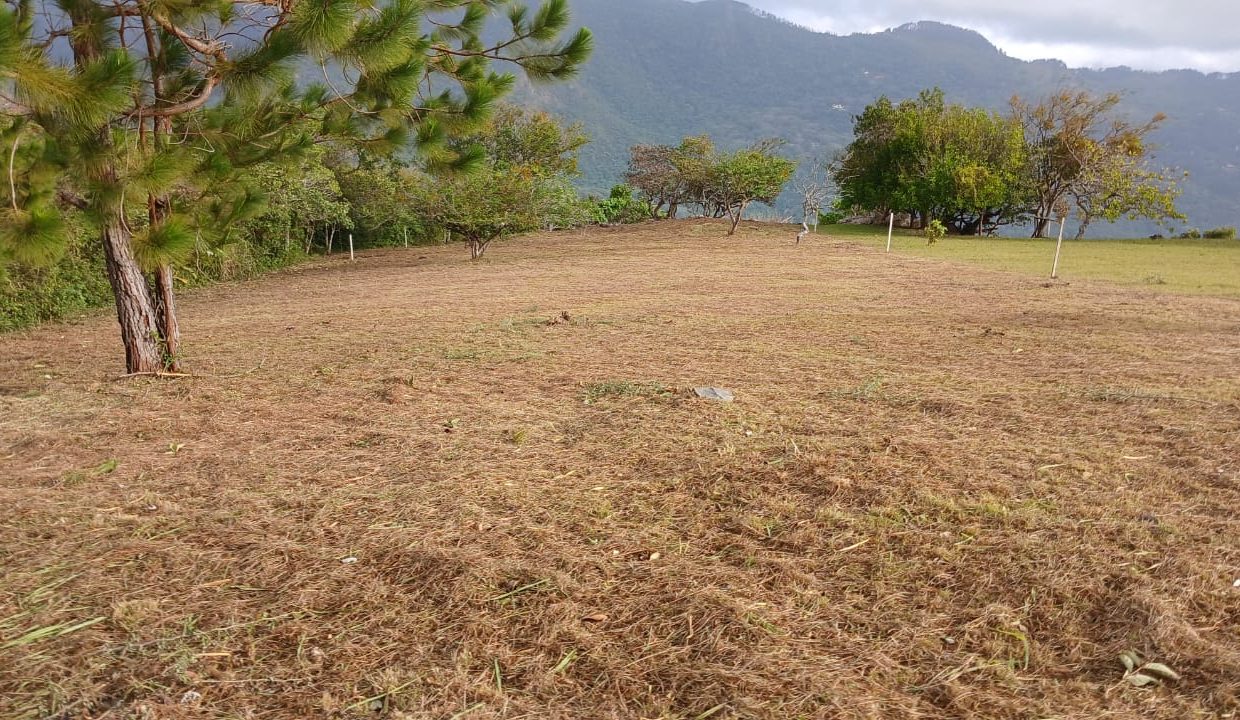 WhatsApp Image 2026-04-10 at 12.22.23 PM (1)