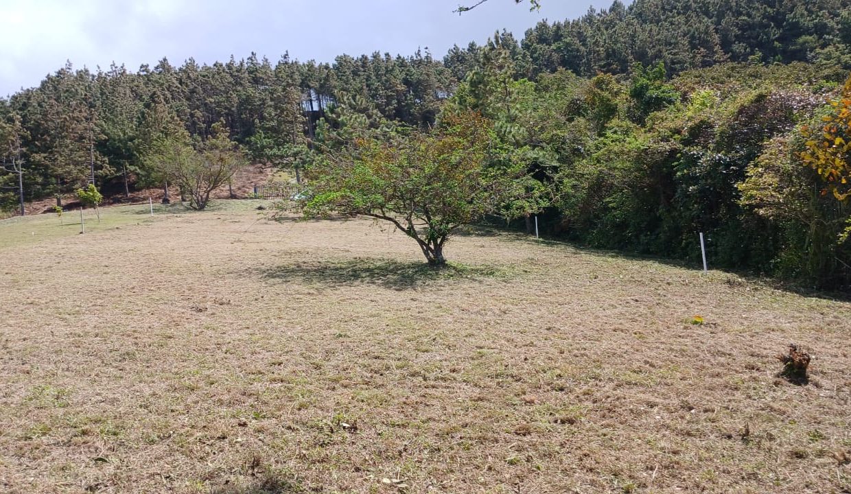 Vendo terreno espectacular en Altos del María