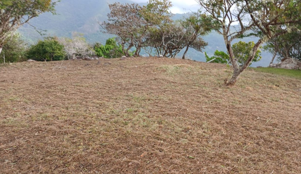 WhatsApp Image 2026-04-10 at 12.22.23 PM (2)