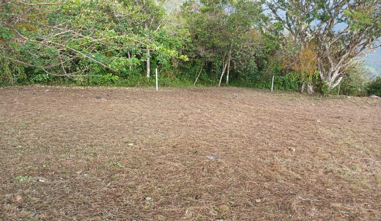 WhatsApp Image 2026-04-10 at 12.22.23 PM (3)