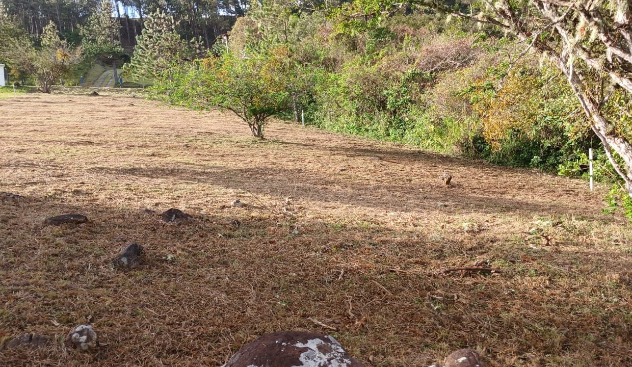 WhatsApp Image 2026-04-10 at 12.22.24 PM