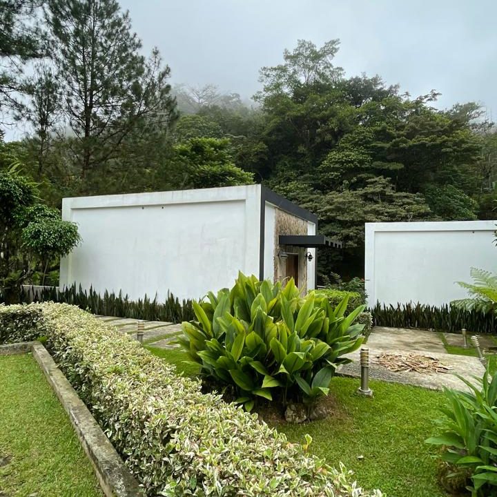 casa abadi 10