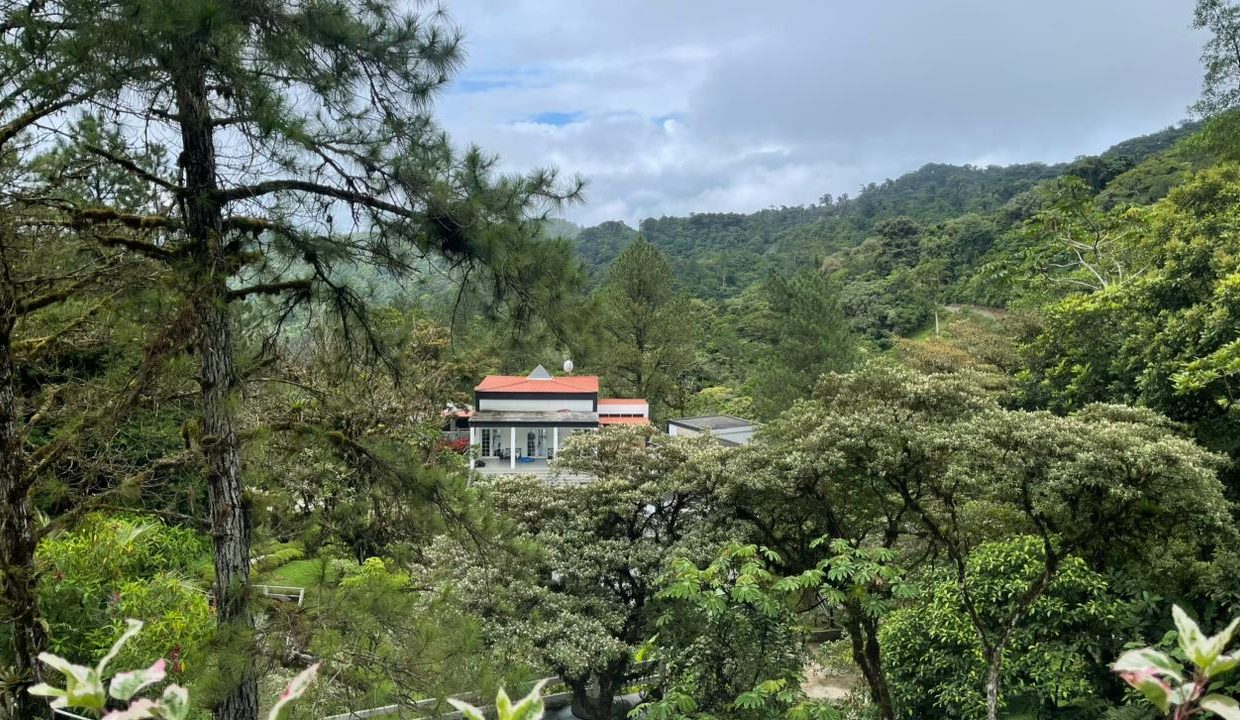 casa abadi 2