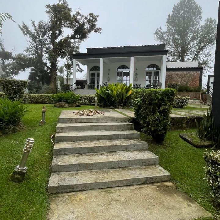 casa abadi 25