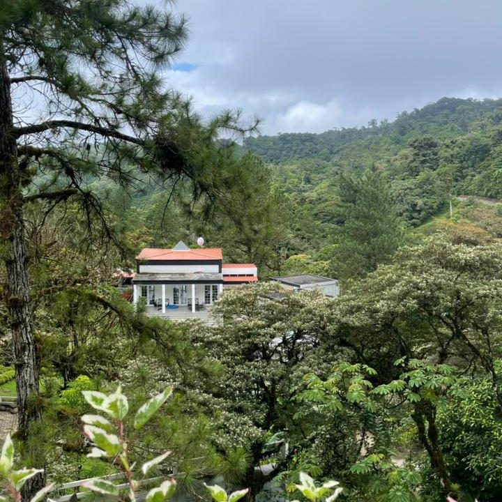 casa abadi 3