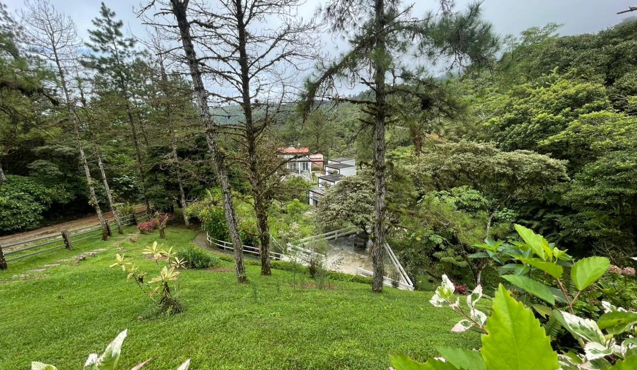casa abadi 5