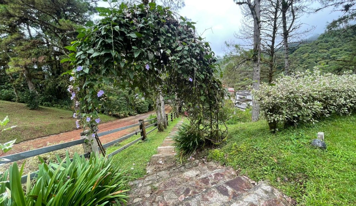 casa abadi 6